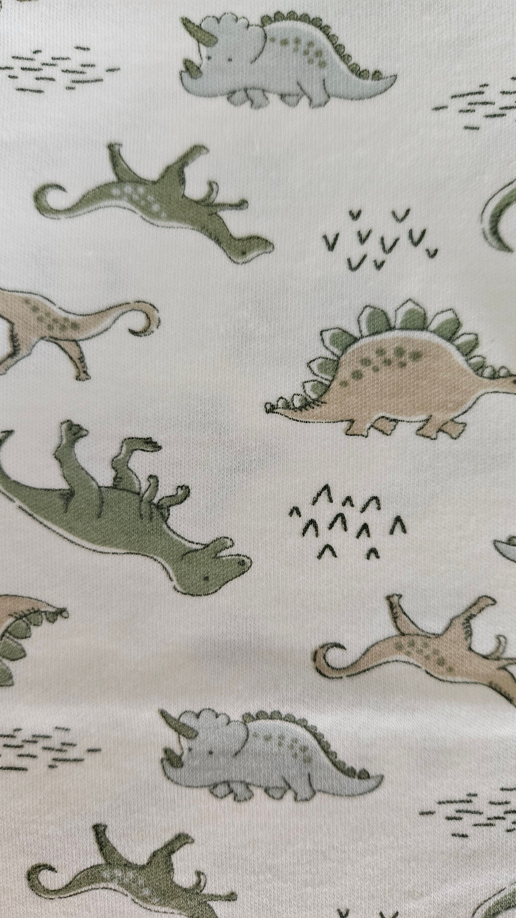 Lot de 2 bodies manches courtes bébé garçon – famille dinosaures