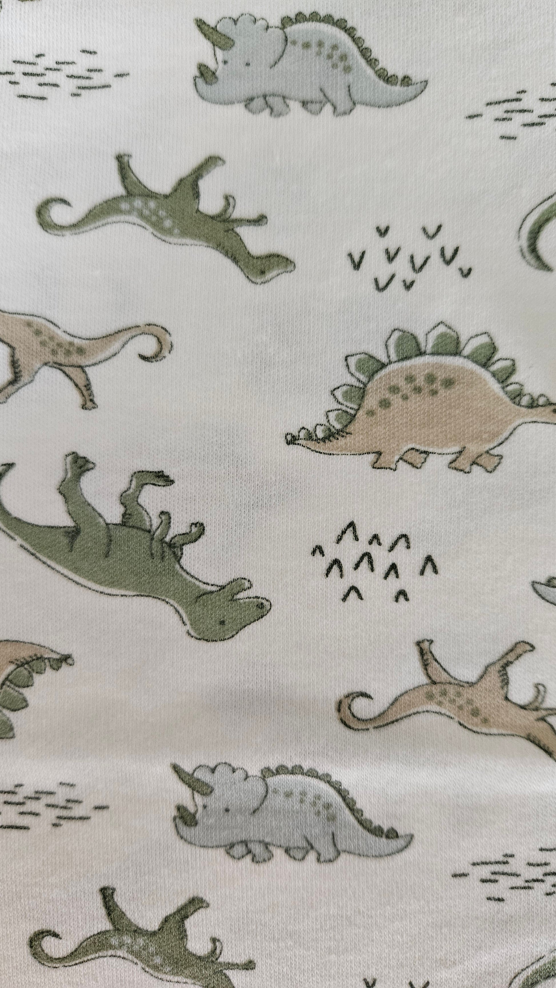 Lot de 2 bodies manches courtes bébé garçon – famille dinosaures