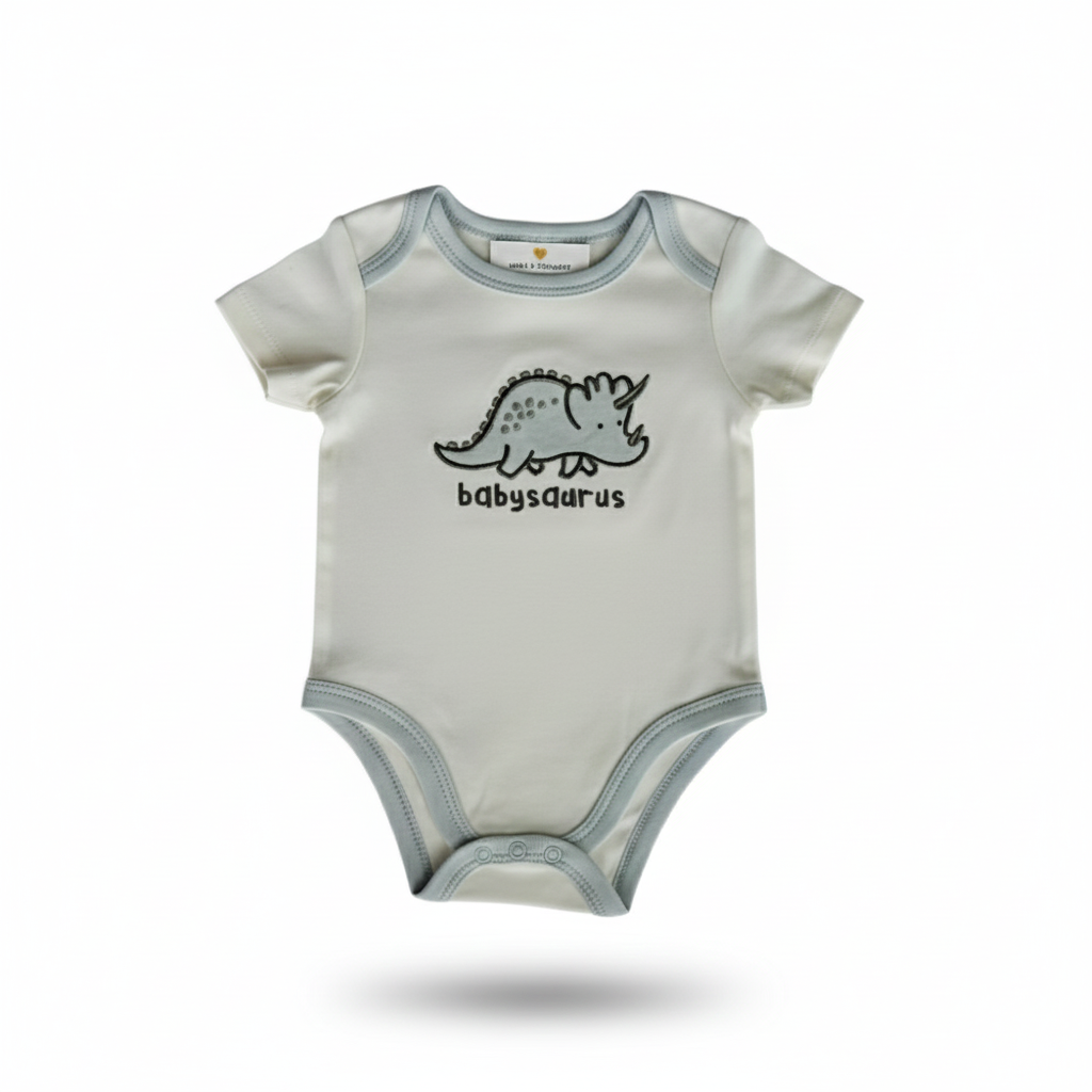 Lot de 2 bodies manches courtes bébé garçon – dinosaure